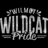 GLT62 SILVER GLITTER Thumbnail