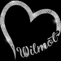 GLT36 SILVER GLITTER Thumbnail